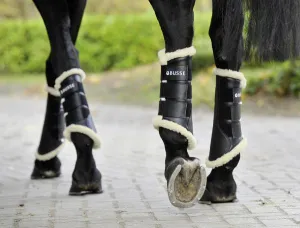 Busse Tendon  Boots  "St. Georges"