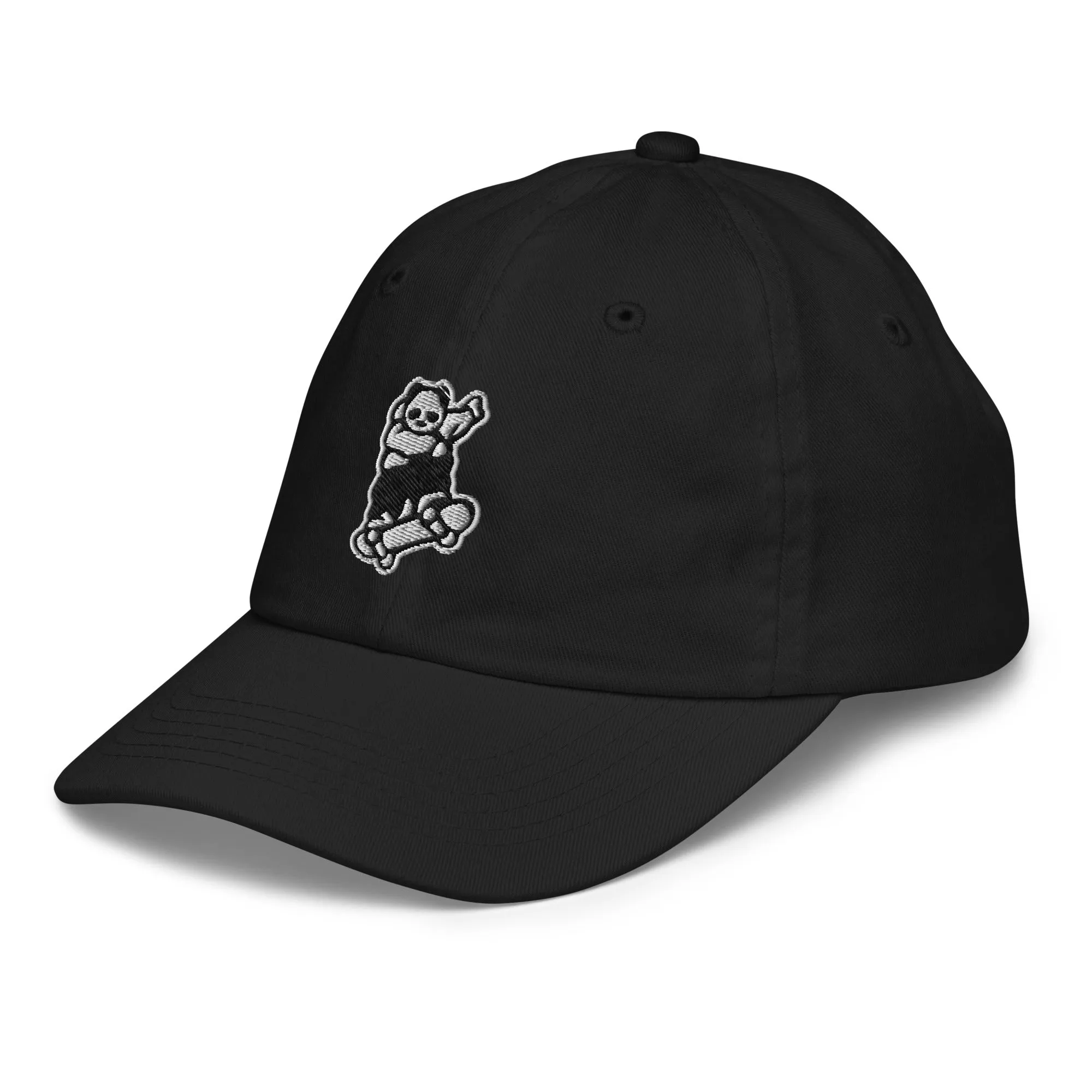 Johnny Xtreme (Skateboarding 3.0) Embroidered Children's Baseball Cap